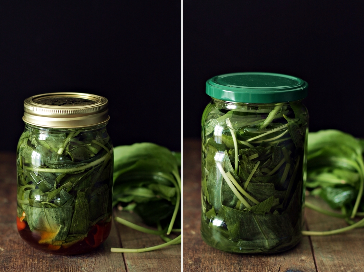 Medvědí česnek dejte do sklenice a zalijte octem: RECEPT, který si hlídám jako oko v hlavě – poklad do každé rodiny!