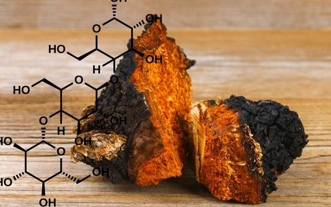 Polysacharidy z hub: Tajní spojenci imunity, energie a dlouhověkosti