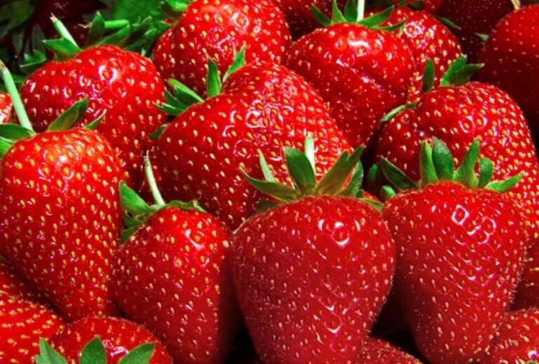 Hnijí vám jahody rychle? S touto ingrediencí vydrží čerstvé až tři týdny