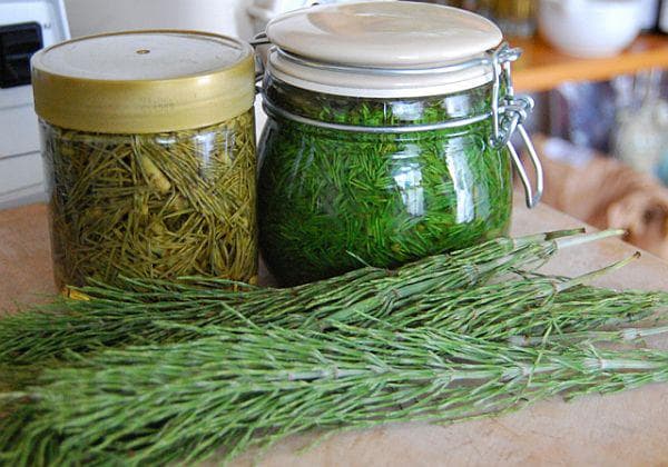 Konec Bolesti! Zázračný Recept na BOLEST KRKU A KOLEN! Odzkoušeno – Úleva Už za JEDEN DEN! Pradávný TRIK, Který Změní Váš Život!