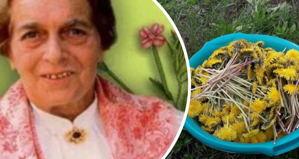 Tohle ze zahrady vyhazujete – a přitom to léčí skoro všechno!