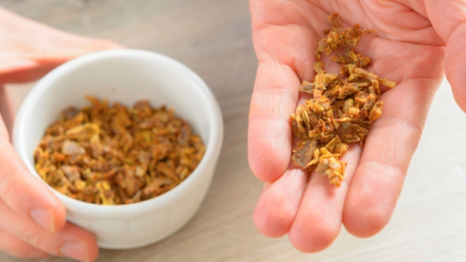 Recept proti rakovině od lékařky, která zasvětila svůj život studiu této nemoci