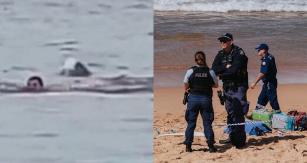 Tragédie u Sydney! Muž zemřel po útoku žraloka: První smrtelný případ od roku 2022