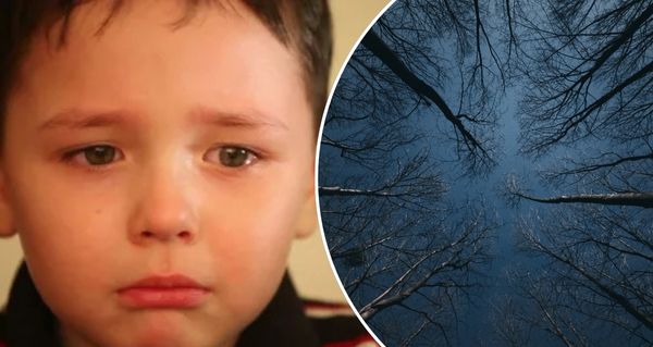 Šestiletý chlapec se ztratil v lese – nebyl ale úplně sám. Co záchranáři objevili, vás dojme