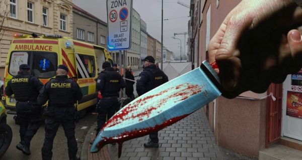 Brutální vražda v Brně: Propuštěný vězeň ubodal matku(†30) malé holčičky!