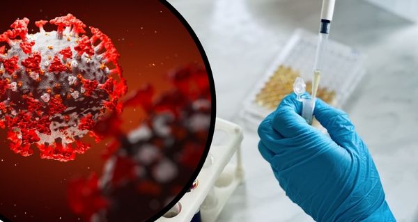 Po očkování blíž smrti? Pravda je přesně opačná – a čísla jsou neúprosná