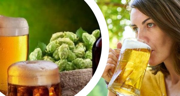 Pivo pod drobnohledem: Odborníci vysvětlují jeho vliv na tělo