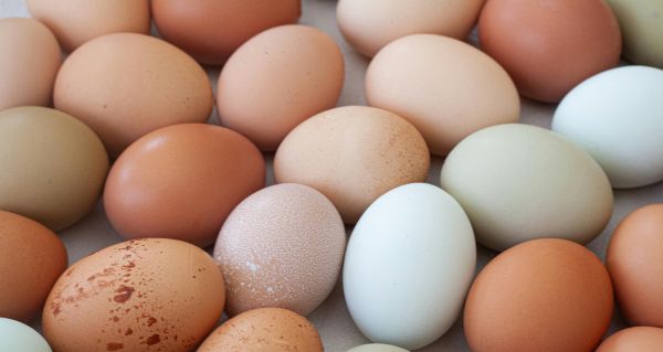 Vajíčka vám můžou vydržet déle čerstvá. Stačí si pohlídat jednu věc