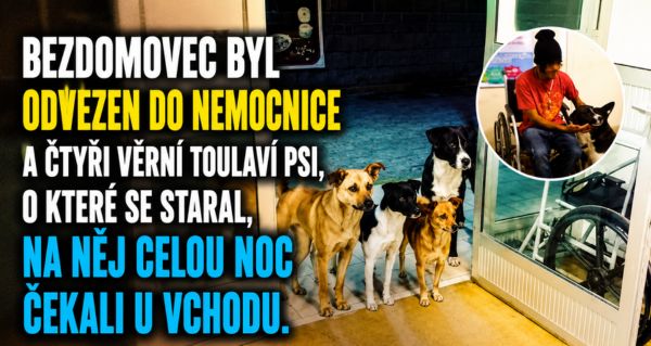 Neměl skoro nic, přesto se dělil o poslední jídlo se svými psy
