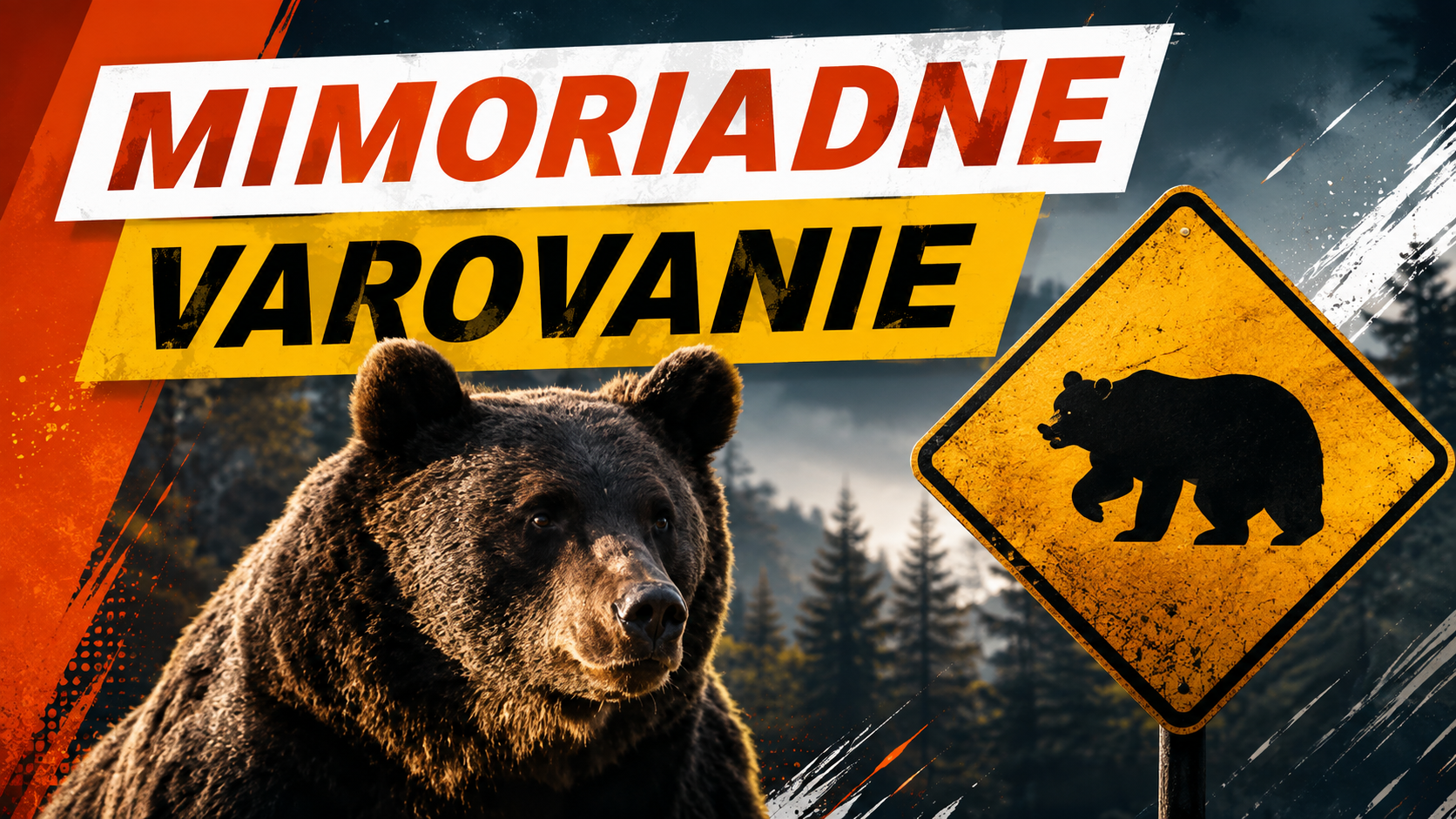 VAROVÁNÍ před medvědy na Slovensku: Objevili se mezi domy i nedaleko koupaliště. V těchto místech buďte opatrní