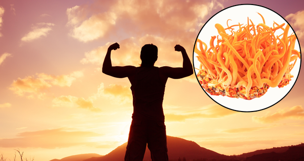 Cordyceps energie: proč se o houbě mluví ve světě sportu